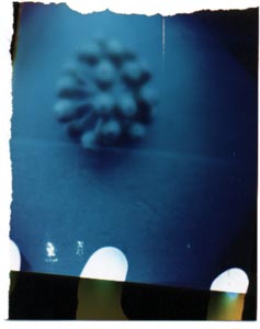 pod pinhole photograph RA4 Process contact print
