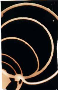 photogram of bedspring